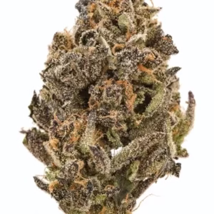 Premium Cannabis Strain