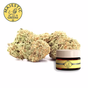 Tangerine Dream Flower